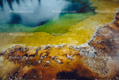 Extremophile, layers of color, Geyser, Geothermal Feature, activity