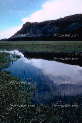 Wetlands, reflection, water, mountains, fields, After the Fire
