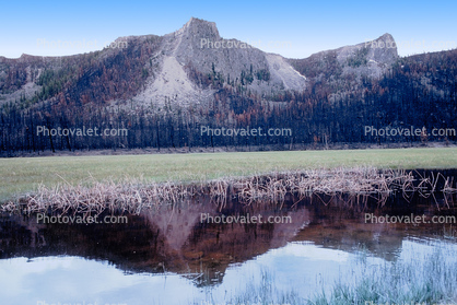 Wetlands, reflection, water, mountains, fields, After the Fire