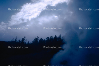 hot vent, geyser, trees, clouds, thermal feature