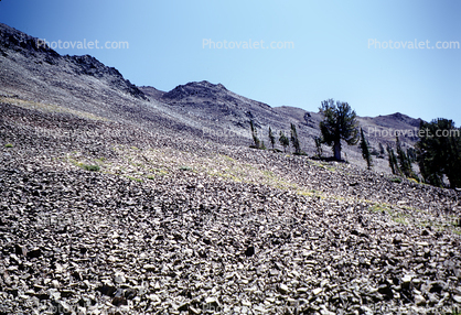 barren hillside, rocks
