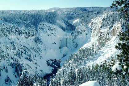 Yellowstone Falls, The Grand Canyon of the Yellowstone, Waterfall, River, forest in the snow, trees