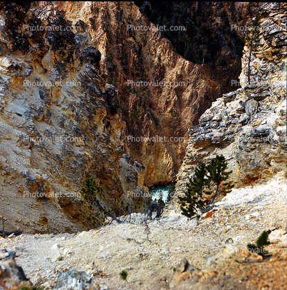 Yellowstone River, Canyon, The Grand Canyon of the Yellowstone