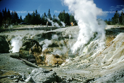 geochemically extreme conditions, Geyser, Hot Vent, Sulfer, springs, moss, hot water