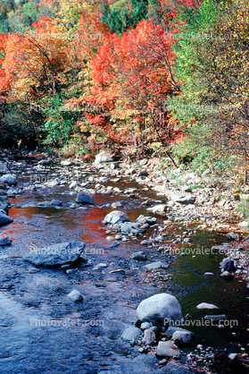 Fall cololrs, River, Stream