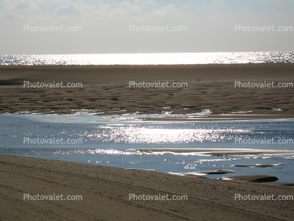 Sand Dunes, Cape Cod, Seashore, Atlantic Ocean, daytime, daylight