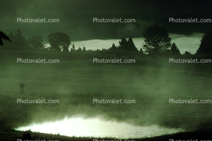 Foggy Pond, Morning, Fog, Burke, Vermont