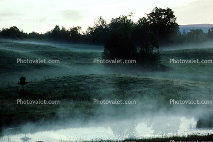 Hills, Foggy Morning, Fog, Burke, Vermont