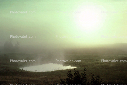 Foggy Pond,  Morning, Fog, Burke, Vermont