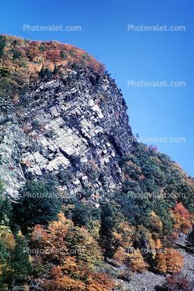 Forest, Woodlands, Trees, Cliff, autumn, stratified layers, sedimentary rock