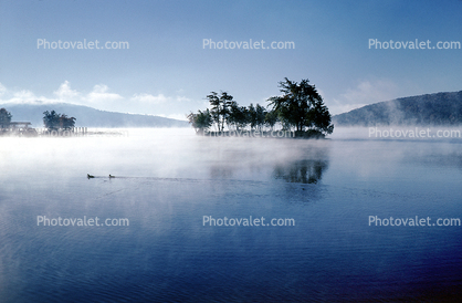 Steam on a Lake, island, ducks, water