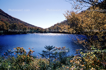 Forest, Woodlands, Trees, Hills, Lake, autumn, water