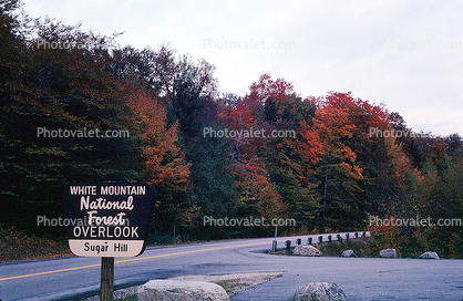 White Mountain National Forest, Sugar Hill, autumn