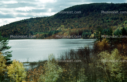 Lake, Hill, forest, woodlands, water