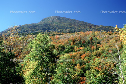 Woodland, Forest, Trees, Valley, Mountains, Hills, autumn