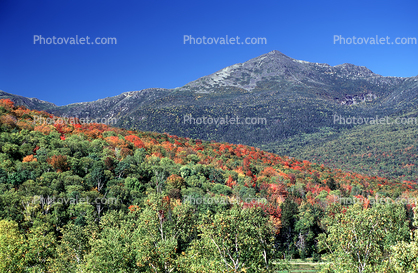 Woodland, Forest, Trees, Mountains, Hills, autumn