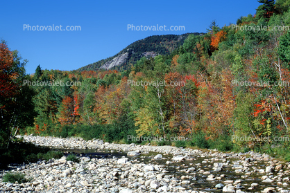 Woodland, Forest, Trees, Mountains, Hills, River, Rocks, autumn