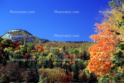 Mountain, hills, hillside, Fall Colors, Autumn, Trees, Vegetation, Flora, Plants, Woods, Forest, Exterior, Outdoors, Outside, Woodlands