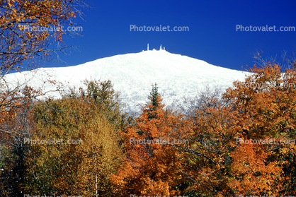 Woodland, Forest, Trees, Mountain Range, Weather Station, autumn, snow cone