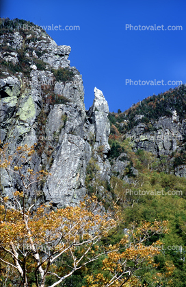 Rocks, Forest, Woodlands, Trees, mountains