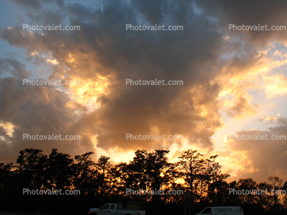 Sunset, Clouds, Trees, Fort Myers, Florida
