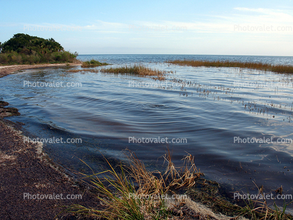 Seashore Water, Wavelets, Saint Marks