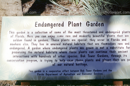 Endangered Plant Garden