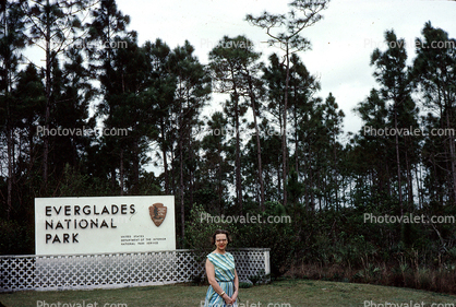 Everglades National Park, Mangrove Swamp, wetlands