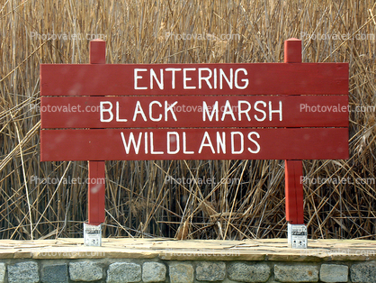 Entering Black Marsh Wildlands