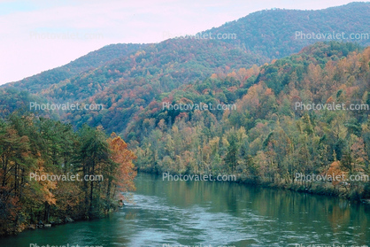 River, Forest, Woodlands, Hills, Autumn, deciduous