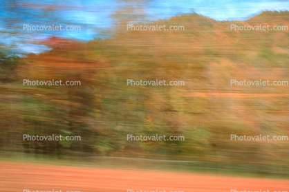 autumn, deciduous, forest, motion blur, streaks