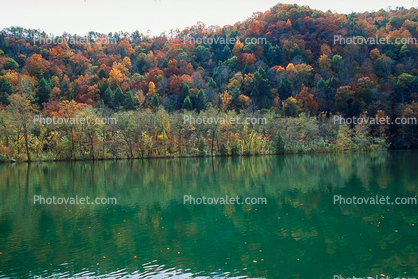 Reflecting Lake, Woodland, Forest, Trees, Hill, autumn, water, deciduous