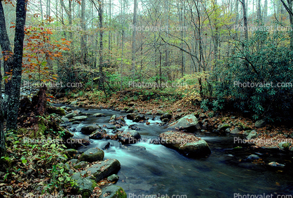 River, stream, rocks, boulders, forest, deciduous, bucolic