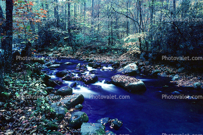 stream, river, woods