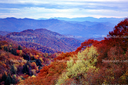 Fall Colors, mountains, valley, autumn