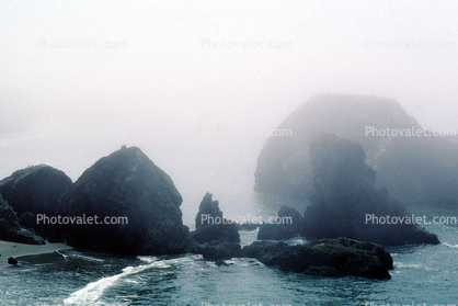 Big Sur, Coastal, rocks, coast, coastline, fog