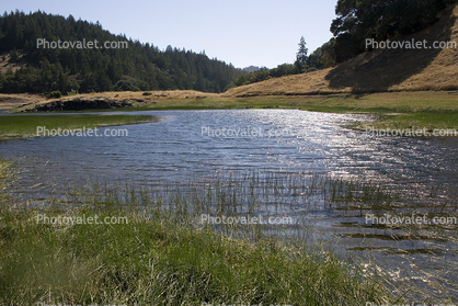 Lake, Reservoir, Pond, Water, Marin County