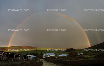 Valley-Ford Full Rainbow, Sonoma County