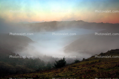 Sunset, Fog, Mystical, Surreal, Twilight, Coleman-Valley Road, Sonoma County