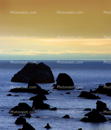 Rocky, Rugged Coastline, Shore, near Bodega Bay, Sonoma County, Coast