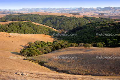 Sonoma County, Two-Rock, Hills, Hillside