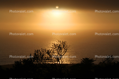 Sun, Fog, Bodega Bay, Sonoma County