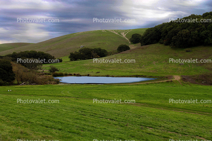 Pond, Lake, Reservoir, Winter, wintertime, Sonoma County, Hills, Hillside, water