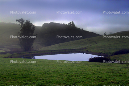 Pond, Fog, Hills, Reservoir, Water, Lake