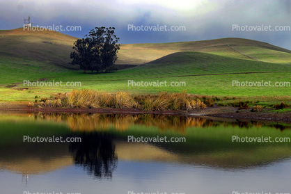 Trees, Hills, Pond, Reflection, Reservoir, Lake, Water