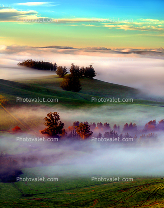 Early Morning Fog over the Valley, Hills, Trees, cottagecore