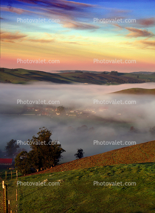 Hills, Trees, Fog, Clouds, Morning, Eucalyptus Trees, Mountains, clouds