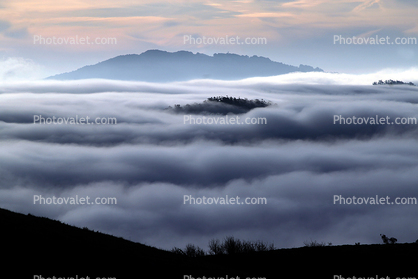Morning, Hills, Trees, Fog, Clouds, Mountains