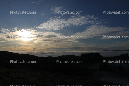 Hills, Trees, Fog, Clouds, Morning, Two-Rock, Sonoma County, Alto Cumulus Clouds