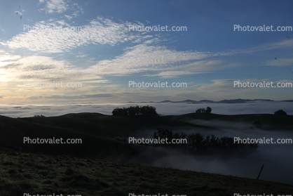 Hills, Trees, Fog, Clouds, Morning, Alto Cumulus Clouds